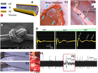 Sensing and Stimulating Electrodes for Electroceuticals